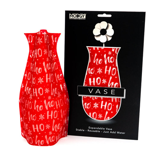 Modgy Expandable Vase - HoHo
