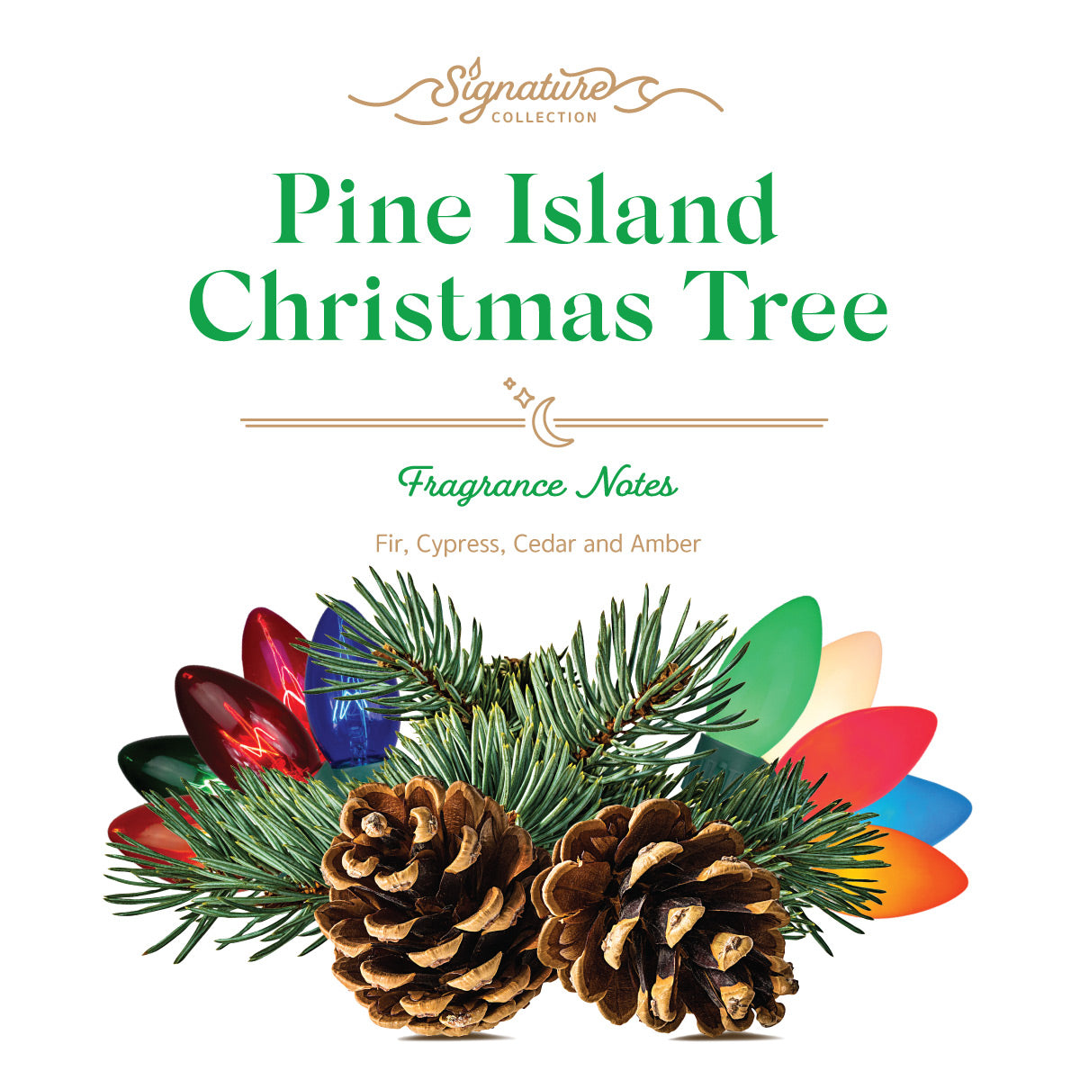 Sanibel Candle Company - Wax Melts - Signature Scents