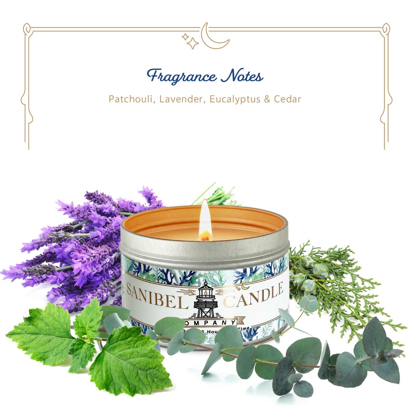 Tarpon Bay Moonlight - Signature Candle - 5 oz Tin