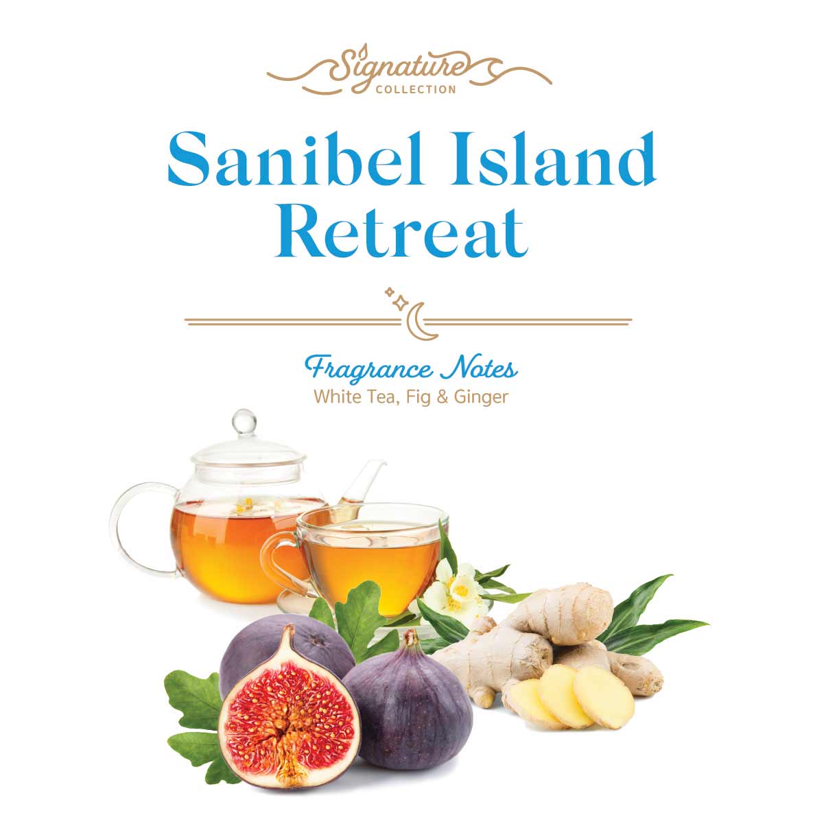 Sanibel Candle Company - Wax Melts - Signature Scents
