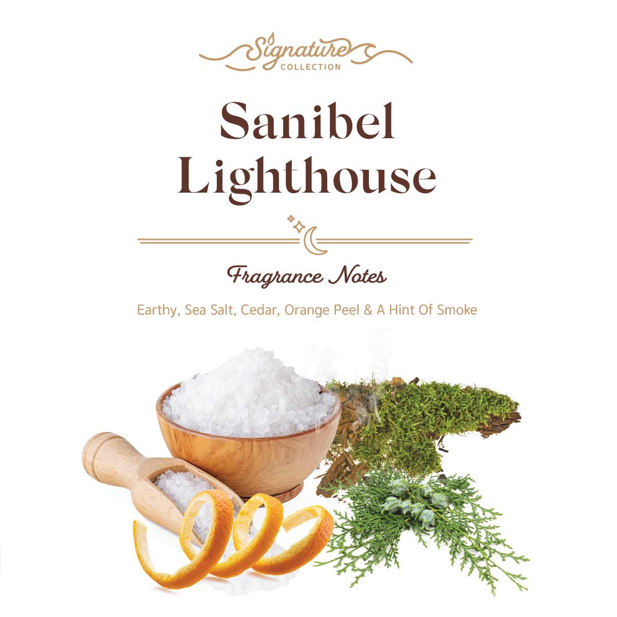 Sanibel Candle Company - Wax Melts - Signature Scents