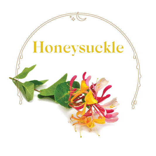 Honeysuckle - House Scented Candle 8 oz