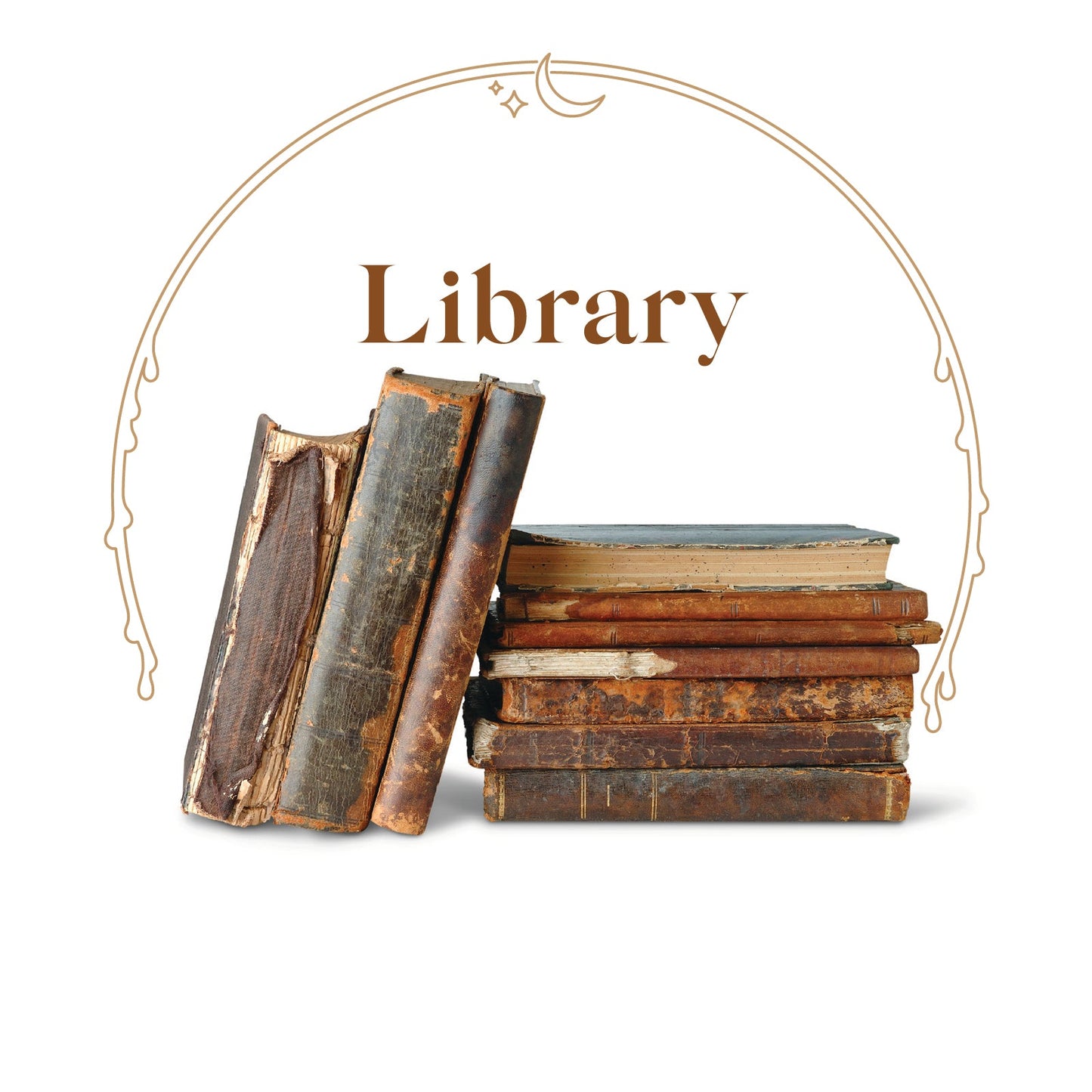 Library - House Scented Candle 8 oz