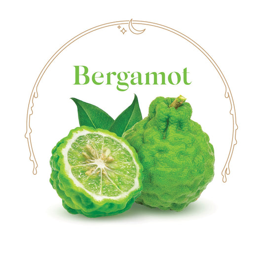 Bergamot - House Scented Candle 8 oz
