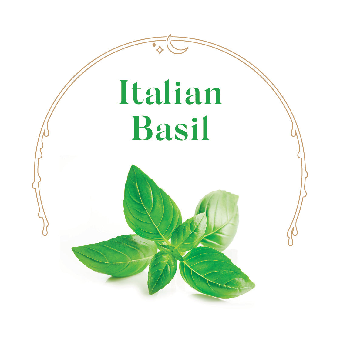 Italian Basil - House Scented Candle 8 oz