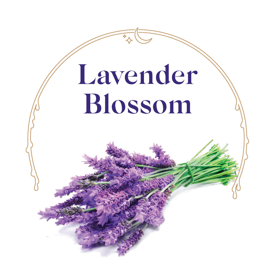 Lavender Blossom - House Scented Candle 8 oz