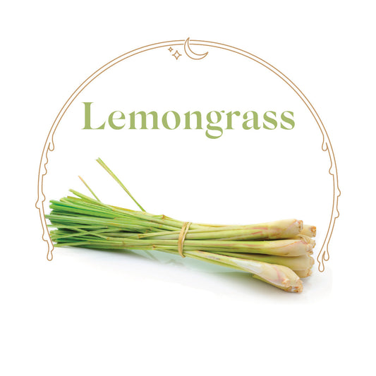 Lemongrass - House Scented Candle 8 oz