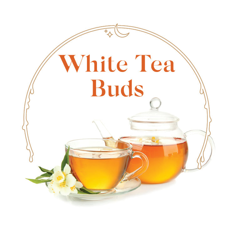 White Tea Buds - House Scented Candle 8 oz
