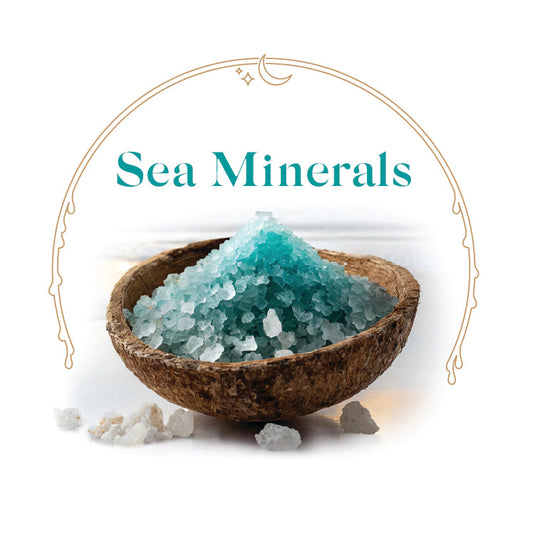 Sea Minerals - House Scented Candle 8 oz