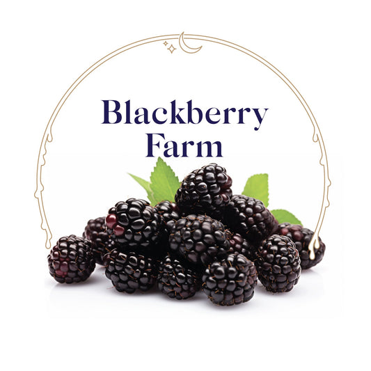 Blackberry Farm - House Scented Candle 8 oz