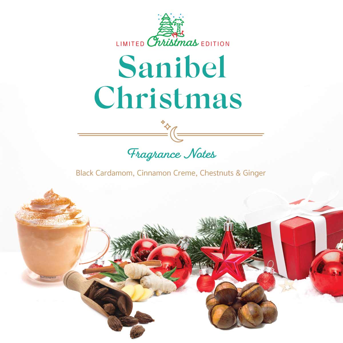 Sanibel Candle Company - Wax Melts - Signature & Christmas Scents