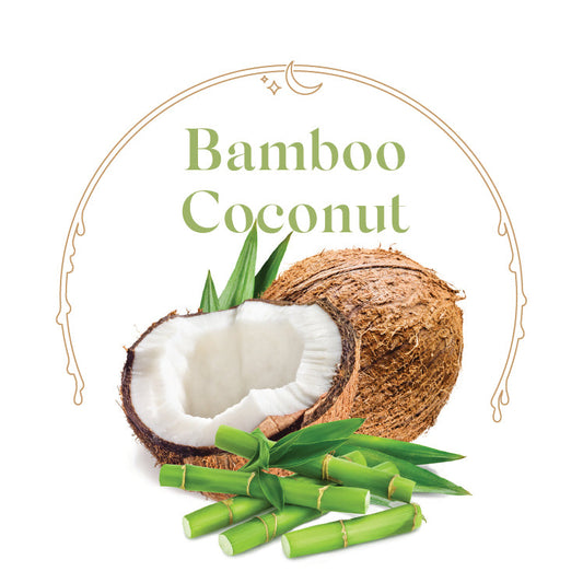 Bamboo Coconut - House Scented Candle 8 oz