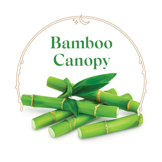 Bamboo Canopy - House Scented Candle 8 oz