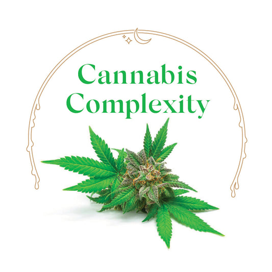Cannabis Complexity - House Scented Candle 8 oz