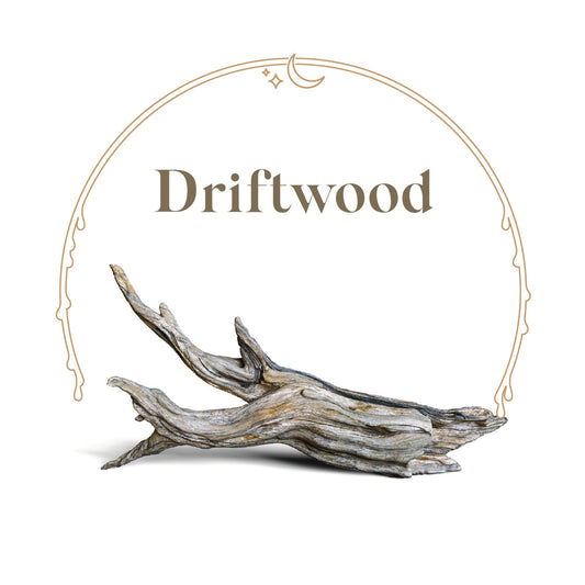 Driftwood - House Scented Candle 8 oz