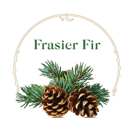 Frasier Fir - House Scented Candle 8 oz