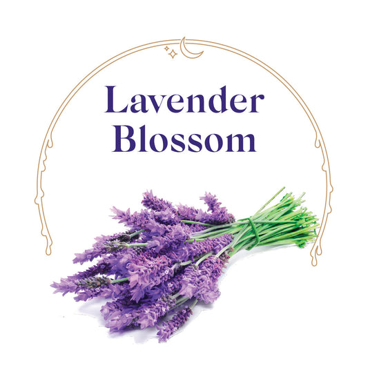 Lavender Blossom - House Scented Candle 8 oz