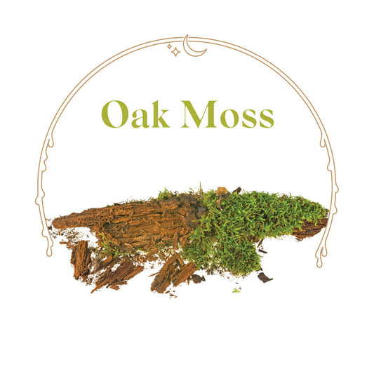 Oak Moss - House Scented Candle 8 oz