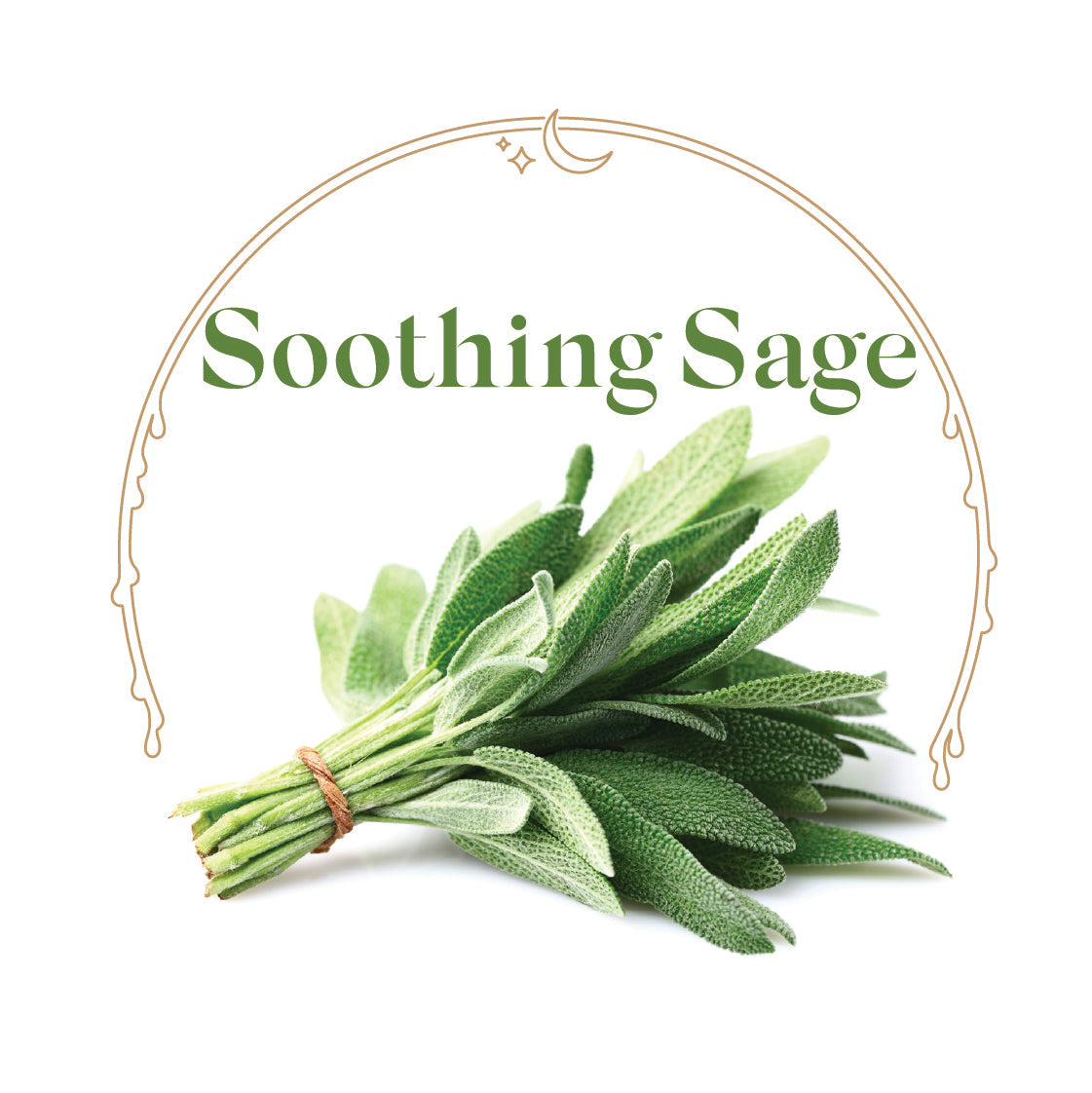 Soothing Sage - House Scented Candle 8 oz