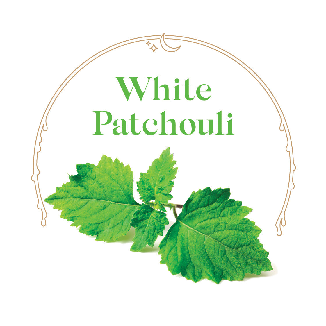 White Patchouli - House Scented Candle 8 oz